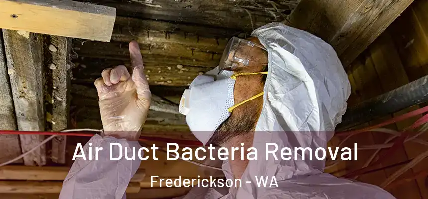  Air Duct Bacteria Removal Frederickson - WA