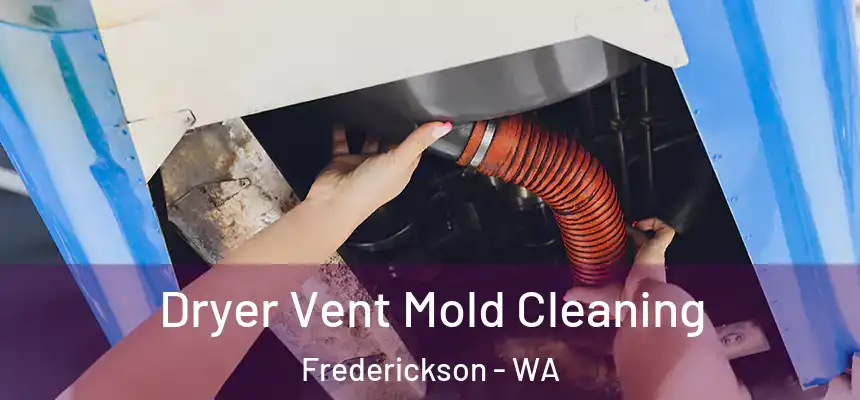  Dryer Vent Mold Cleaning Frederickson - WA