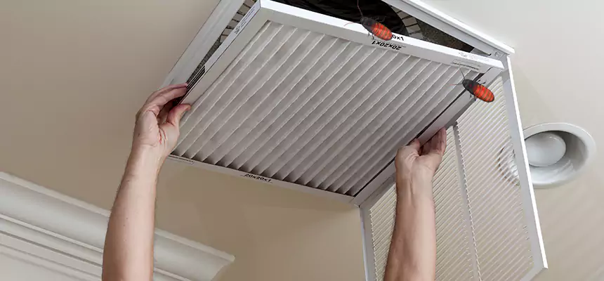 Preventive Cockroach-Proofing for Ducts in Frederickson