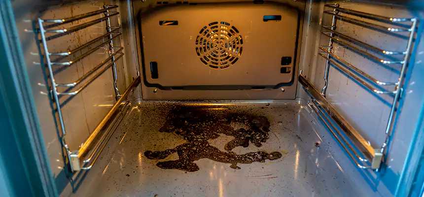 Our Air Purifier Installation Services in Frederickson, WA