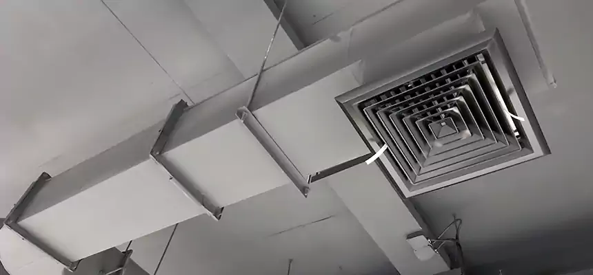 Our Pest Removal From Ducts Services in Frederickson, WA