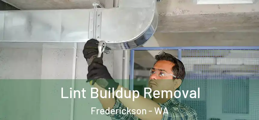  Lint Buildup Removal Frederickson - WA