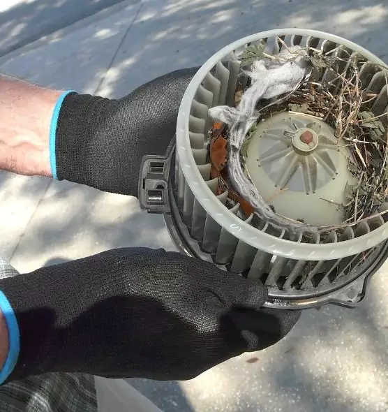 About Air Duct Rat Removal in Frederickson, WA