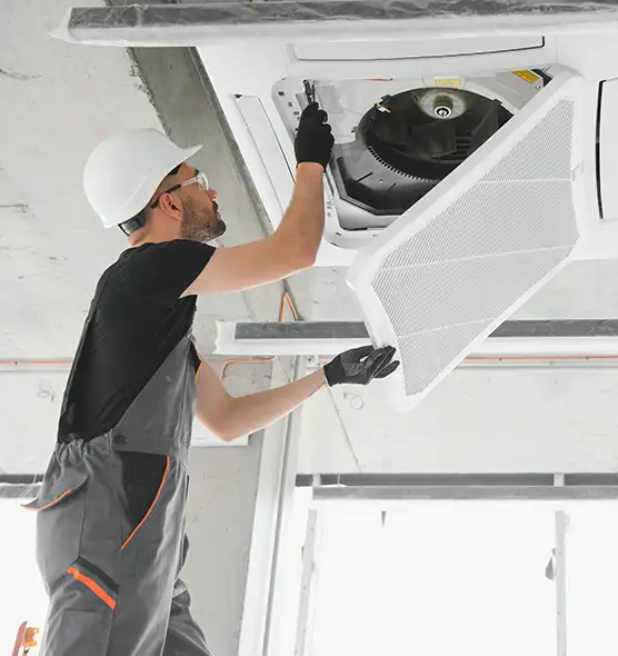 About Air Duct Rodent Removal in Frederickson, WA