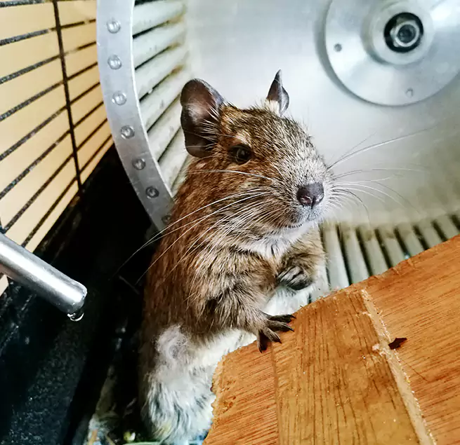 Why Homeowners & Businesses Trust Us Frederickson, WA