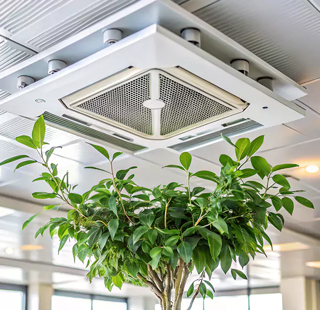 Why Homeowners & Businesses Trust Us in Frederickson, WA?