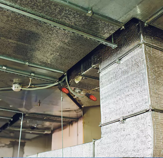 Why Homeowners & Businesses Trust Us Frederickson, WA?