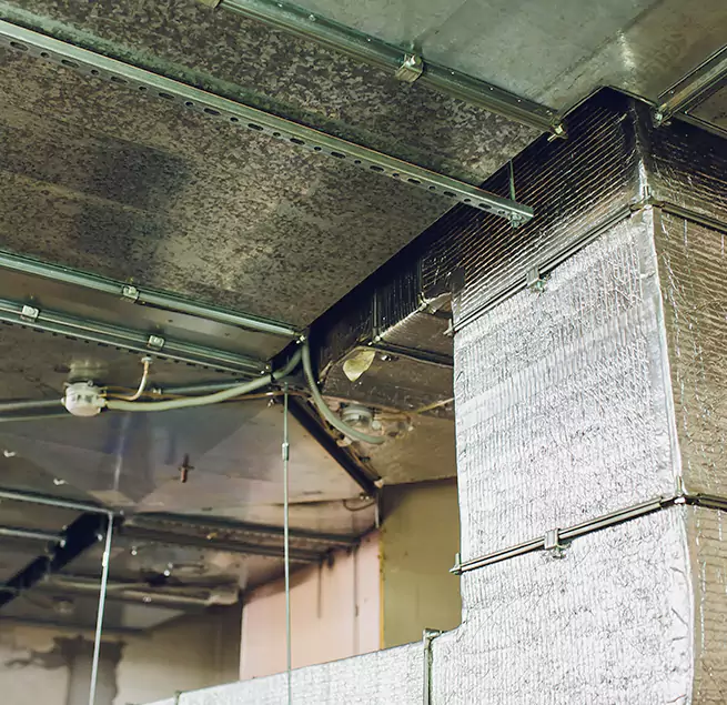 Why Homeowners & Businesses Trust Us in Frederickson, WA?